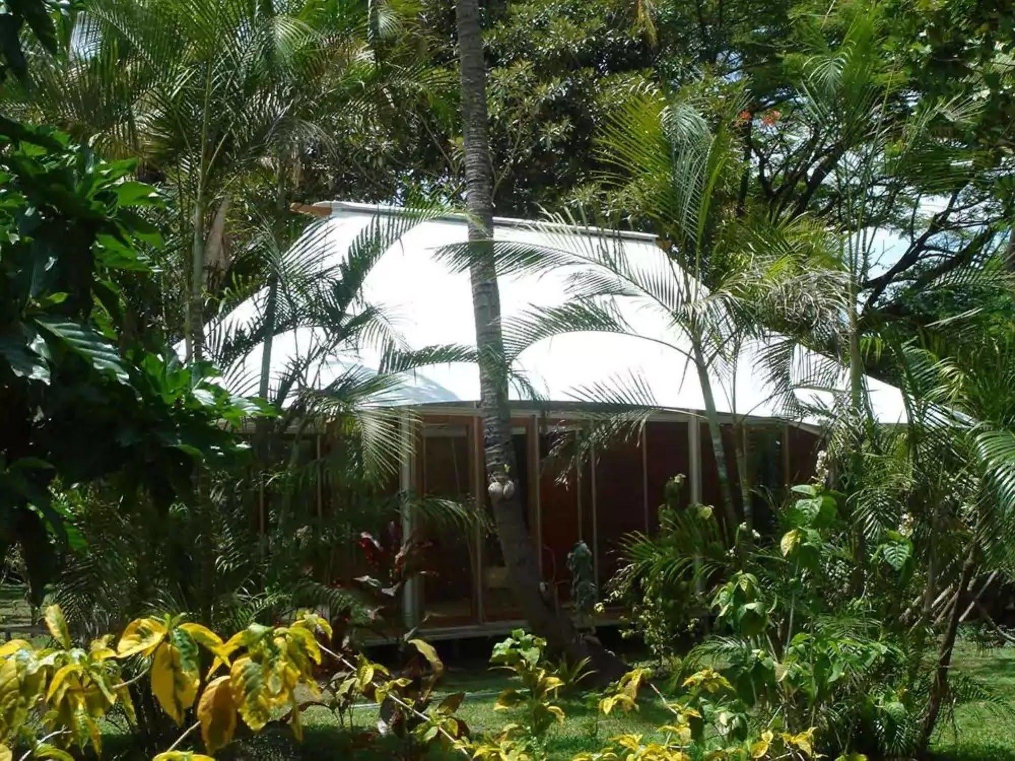 The Fiji Orchid Hotell Lautoka Exteriör bild